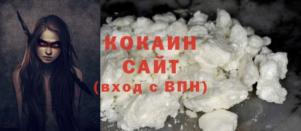 прущие грибы Гусь-Хрустальный