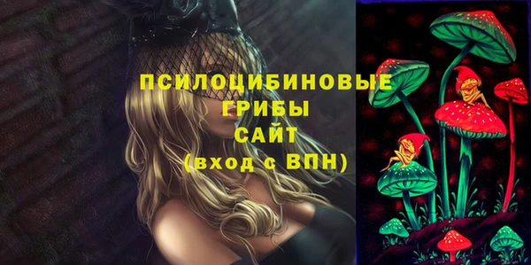 ГАЛЛЮЦИНОГЕННЫЕ ГРИБЫ Володарск