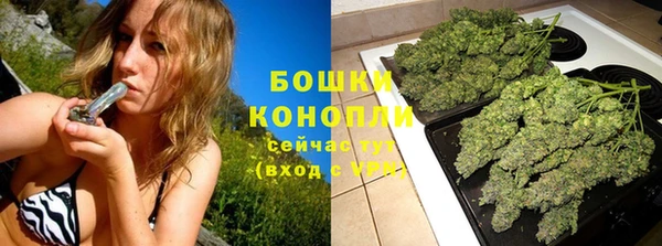стаф Гусев