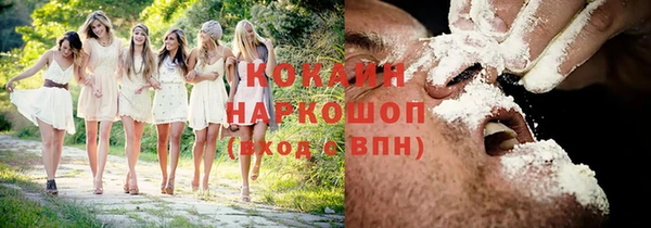 прущие грибы Гусь-Хрустальный