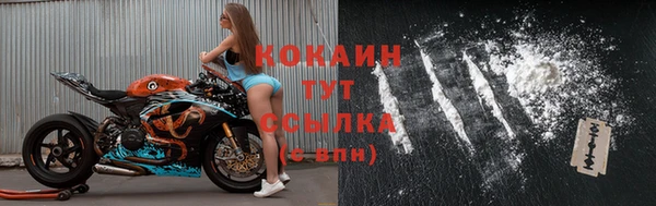 прущие грибы Гусь-Хрустальный